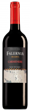 Viña Falernia Elqui Valley Carmenère Reserva