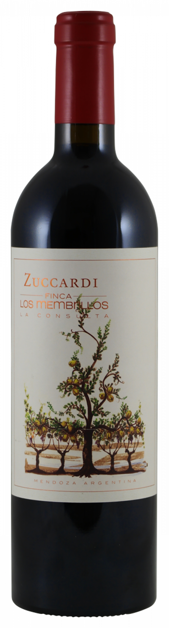 Zuccardi Finca los Membrillos